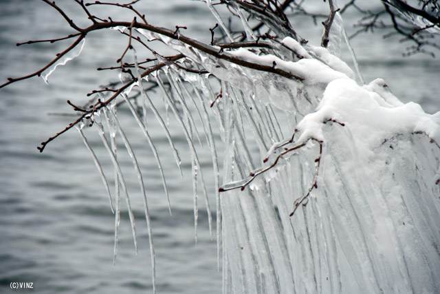雪景色 冬 青森 十和田湖 しぶき氷